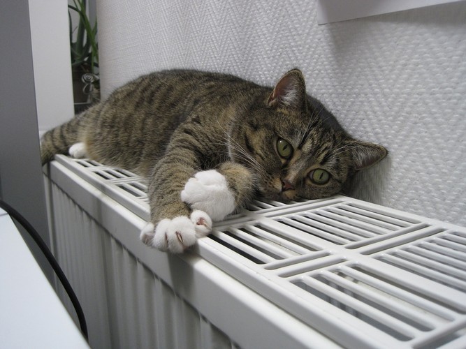 В Москве отопление включено в 70% жилых домов