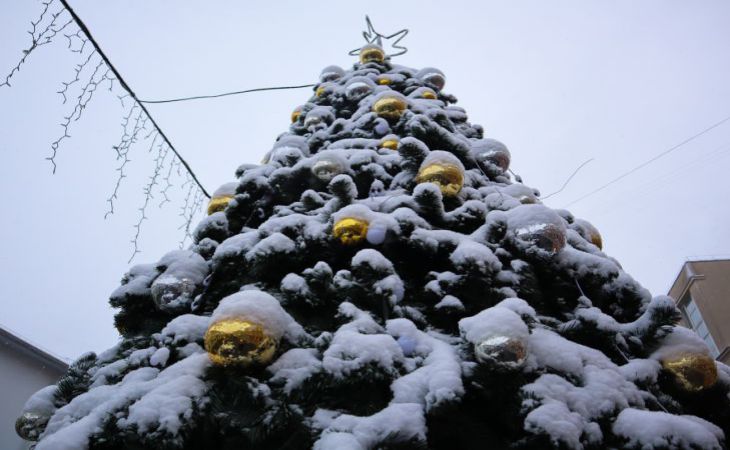 Новые требования к установке новогодних елок вступят в силу в РФ 1 января