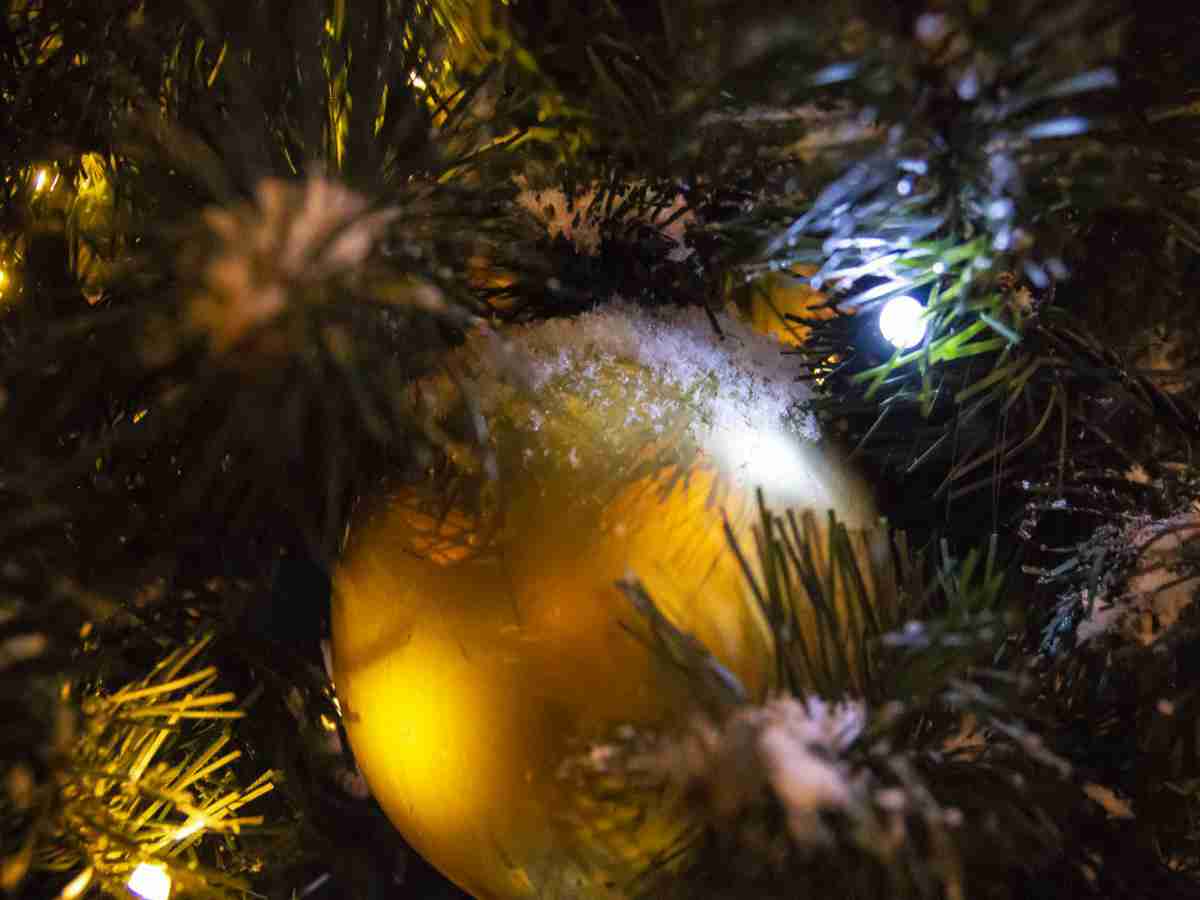 Инцидент с избиением женщины Дедом Морозом проверят воронежские полицейские