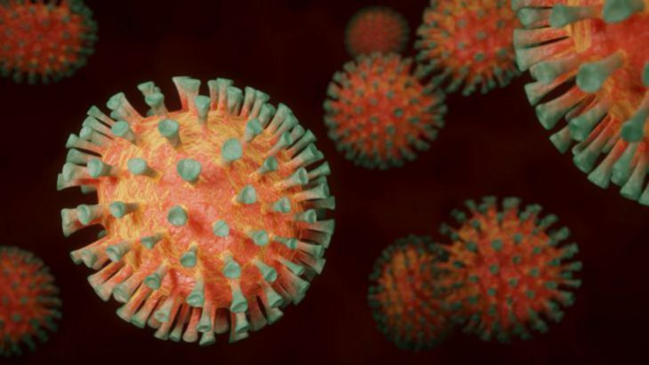 В Израиле обнаружили новый опасный штамм коронавируса