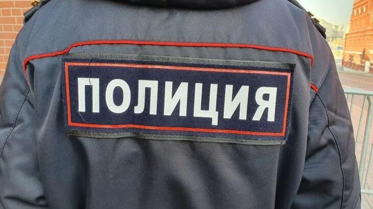 В Петербурге задержаны участники встречи анимешников