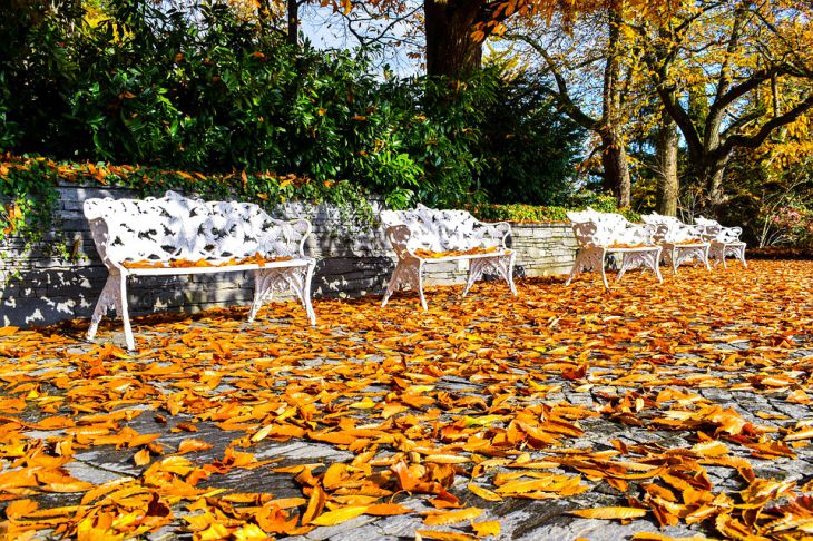 Какой сегодня праздник: 19 октября 2021 года Осень