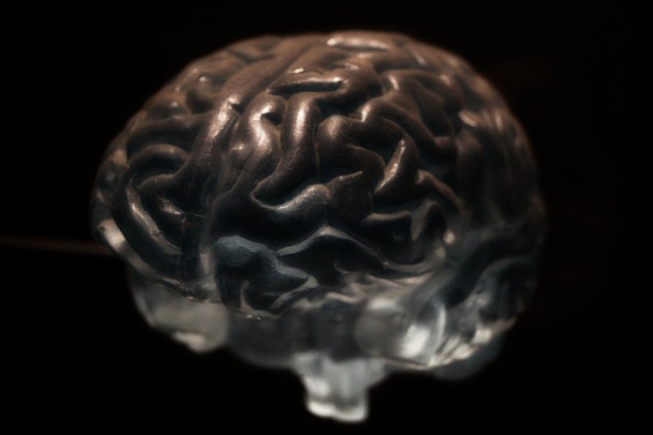 Мозг блокирует запоминание определённой информации