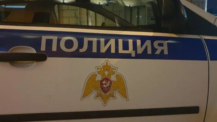 В Новой Москве полиция задержала кавказцев, напавших на мужчину с ребенком