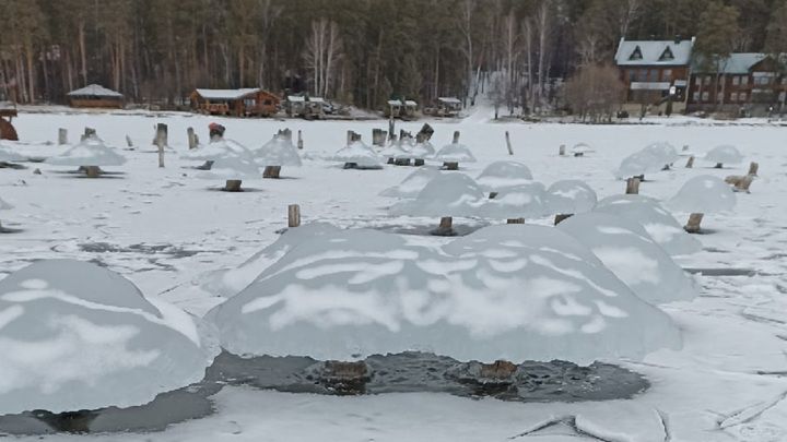 грибы из льда