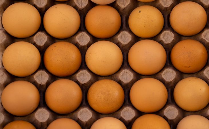Что будет с организмом, если включить в рацион яйца: мифы и реальность