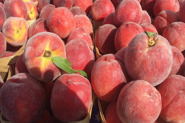 Как правильно выращивать персики на своём участке