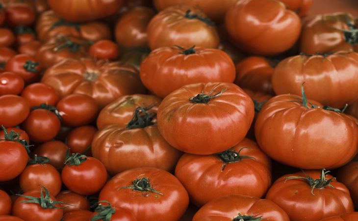 Как заставить цвести бутоны на рассаде помидор: 5 способов