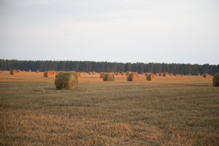 Тюки соломы