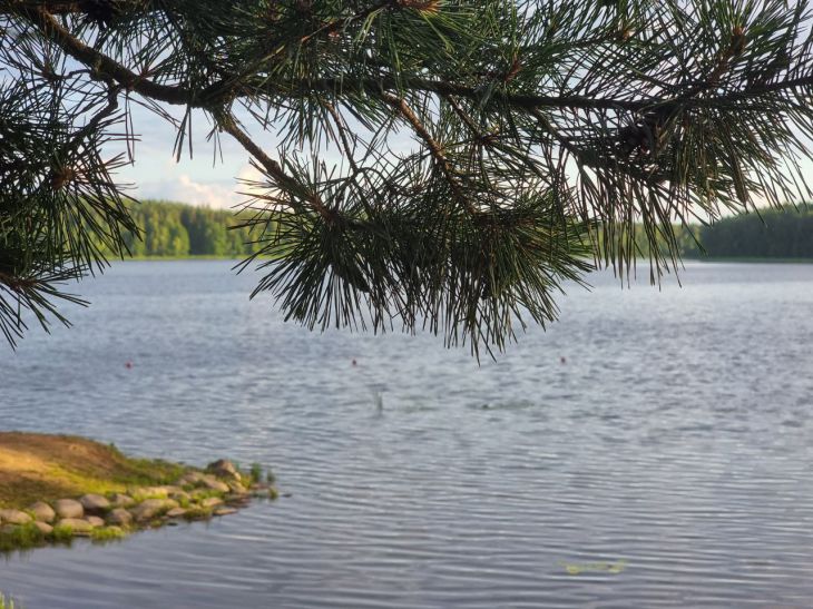 В Красноярском крае нашли следы взрыва Тунгусского метеорита озеро