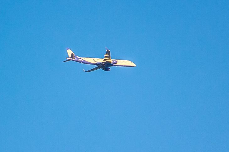 Аэрофлот сообщил о самых необычных животных на борту самолёт