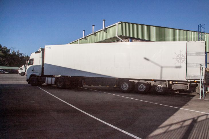 Путин дополнил специальные меры во внешней торговле фура