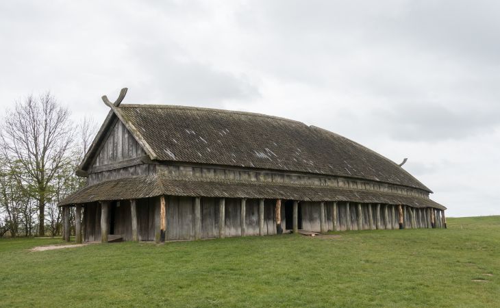 Дом викингов