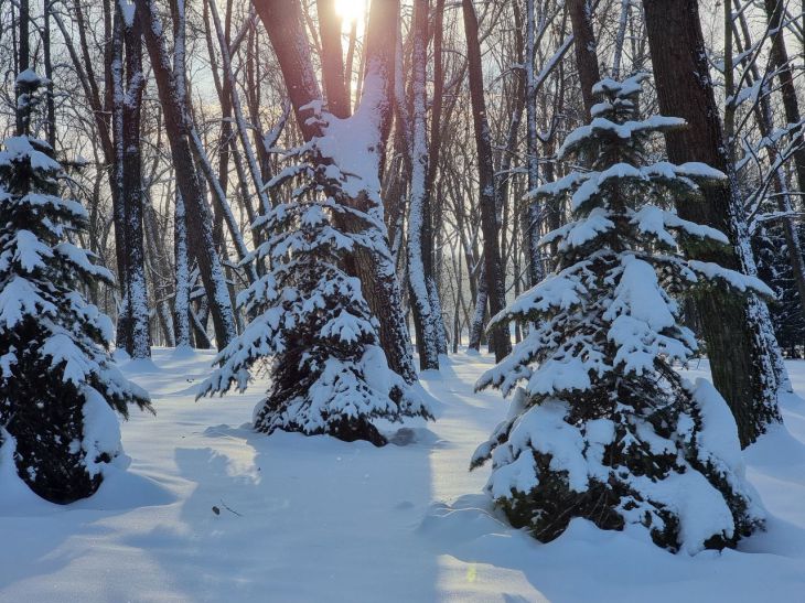 Как правильно дышать на морозе, чтобы не заболеть зима