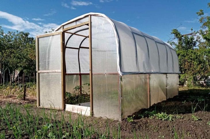 Чем вымыть теплицу, чтобы избавить ее от вредителей: прослужит долгие годы теплицу
