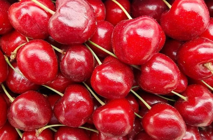 Вишня даст килограммы плодов, если сделаете с ней это: не все огородники знают Вишня