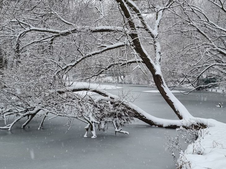 Психолог рассказал о том, почему в конце зимы возникает депрессия зима