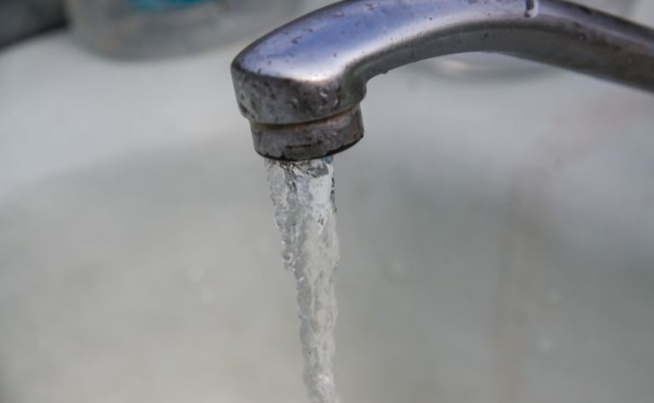 Когда поливать рассаду гвоздики, чтобы быстро росла: так делают умные цветоводы кран