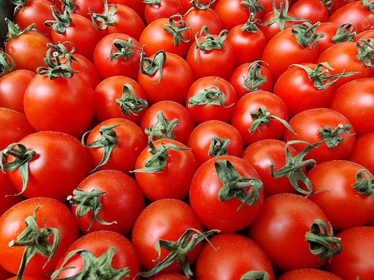 Всего одно средство из аптеки избавит ваши томаты от фитофторы: простой трюк