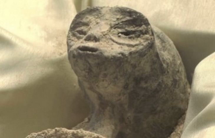 В Мексике продемонстрировали предполагаемые «мумии инопланетян» Пришелец