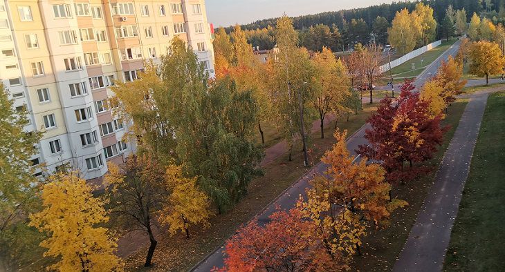 Жителям столицы рассказали о погоде в воскресенье дом, деревья