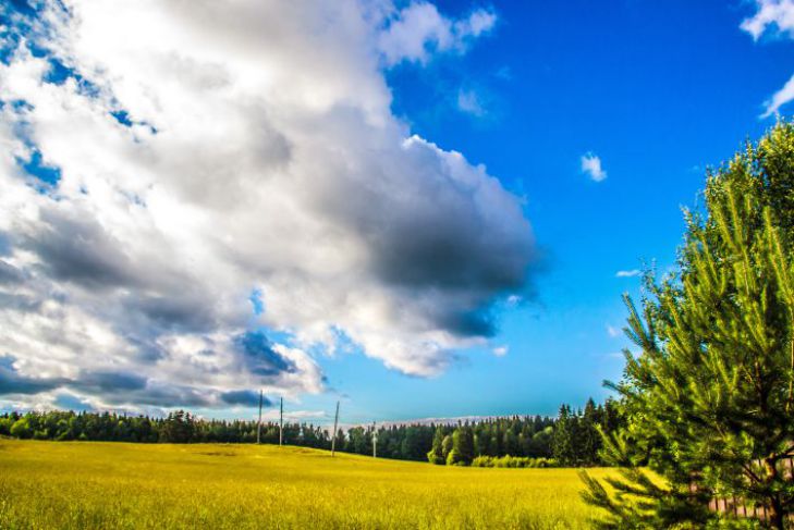 6 вещей, которые нужно сделать в понедельник: привлекают удачу природа