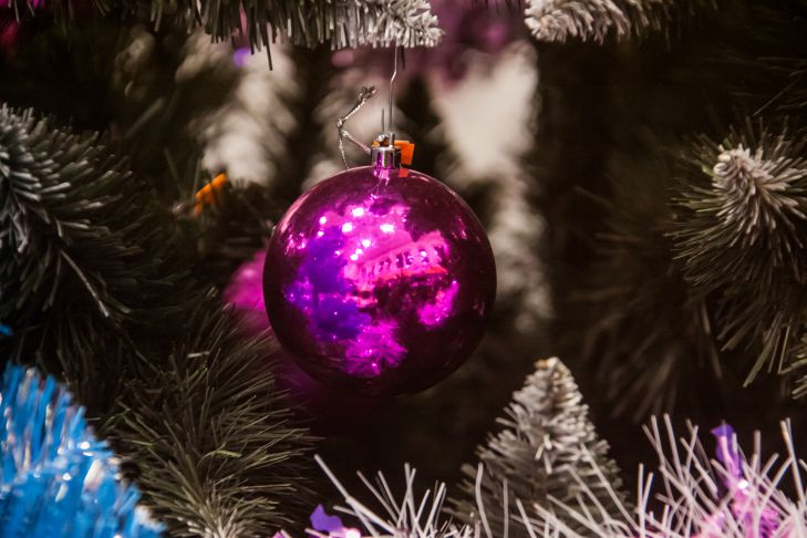 Глава Минсельхоза исполнит желание 11-летнего ребенка шар