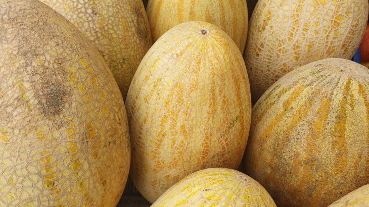 Секреты сладкой дыни: как вырастить идеальный урожай дыня