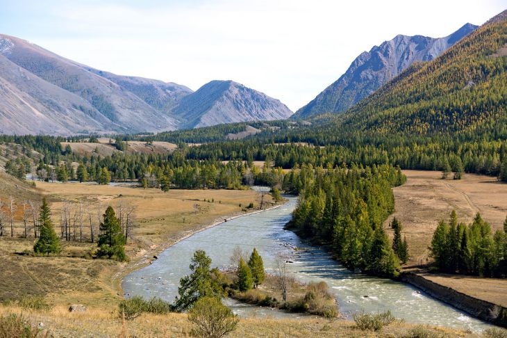Россиянам перечислили лучшие направления для семейного отдыха алтай