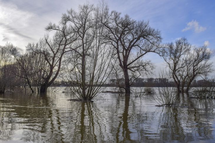 вода