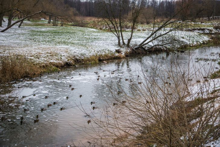 водоем