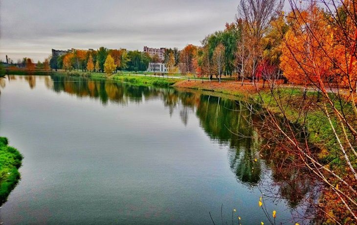 Какой сегодня праздник: 15 октября 2024 года – события и приметы Куприянова дня Природа