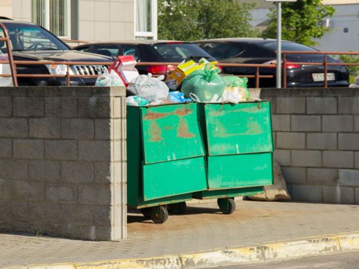 Жительница Подмосковья выбросила новорожденного в мусорный контейнер Мусор