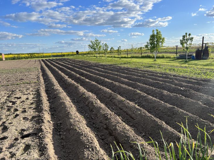 Больше никаких зарослей: 5 способов расчистки земли под огород Огород