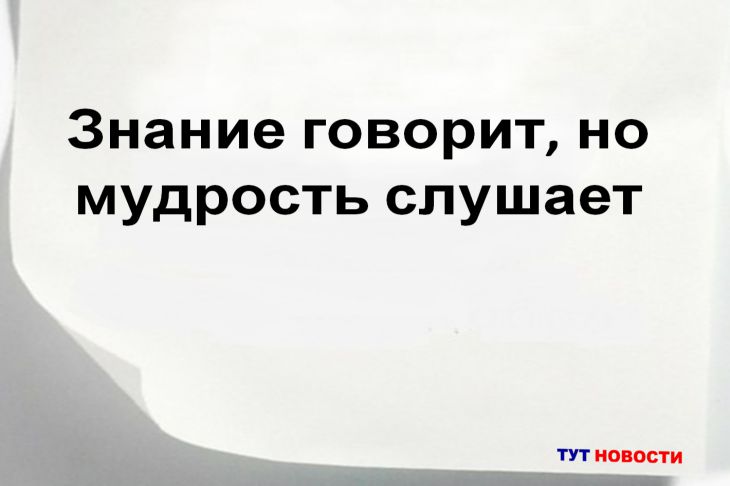 Как научиться задавать правильные вопросы? Философский взгляд на мудрость Цитата