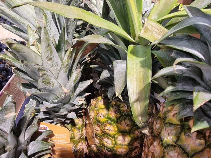 ананас