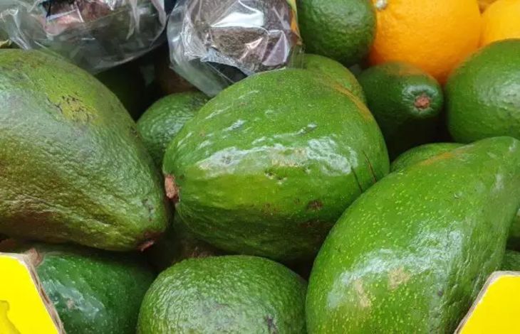 авокадо