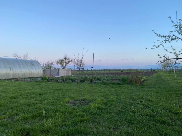 Пластиковые бутылки на даче: 7 способов, которые перевернут ваш огород дача