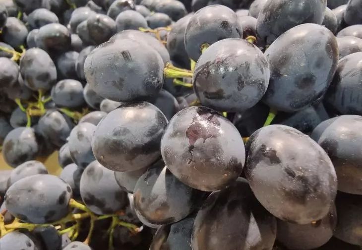 Что будет, если есть виноград каждый день: польза и риски для здоровья виноград