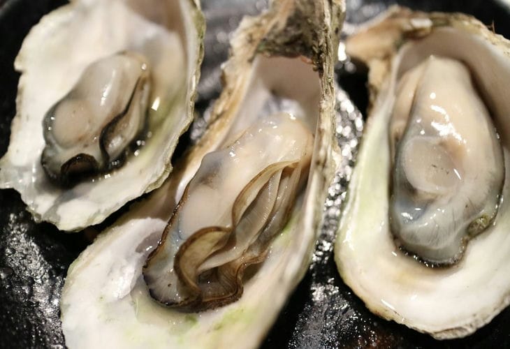 устрицы