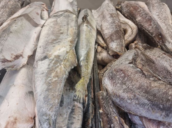 Филе минтая вместо трески: какая рыба на самом деле лучше минтай