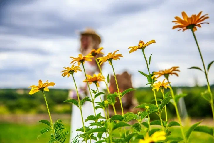 Какой сегодня праздник: 21 июля 2025 года Цветы