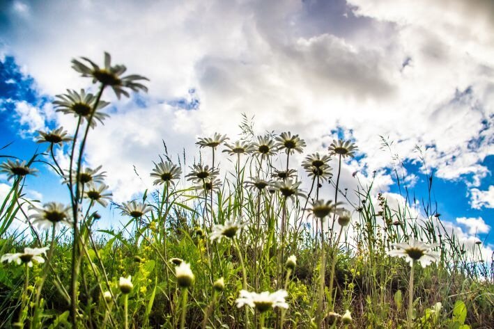 Какой сегодня праздник: 13 июля 2025 года Природа