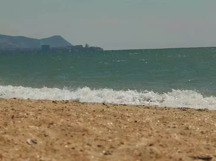 Пляжи, популярные у туристов в Испании, подверглись нашествию опасных существ пляж