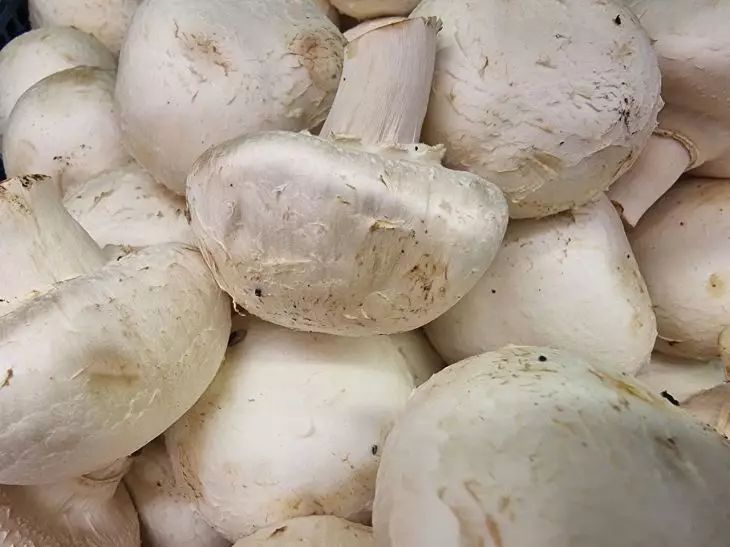 шампиньоны