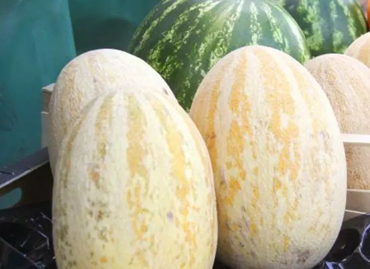 Польза или вред дыни: как есть, чтобы получить максимум витаминов дыня