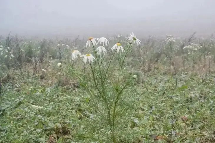 Какой сегодня праздник: 18 сентября 2025 года природа