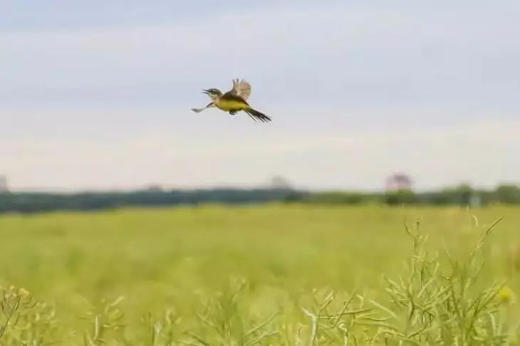 Какой сегодня праздник: 10 сентября 2025 года природа