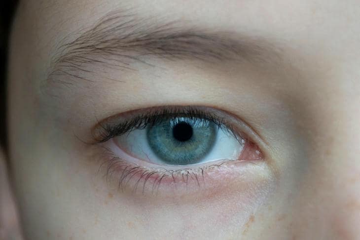 Для чего нужна утренняя зарядка для глаз: как простые упражнения защищают зрение при работе за компьютером глаза