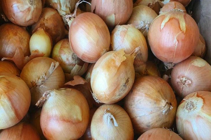 Почему лук и морковь сажают вместе: проверенный дуэт для высокой грядки лук